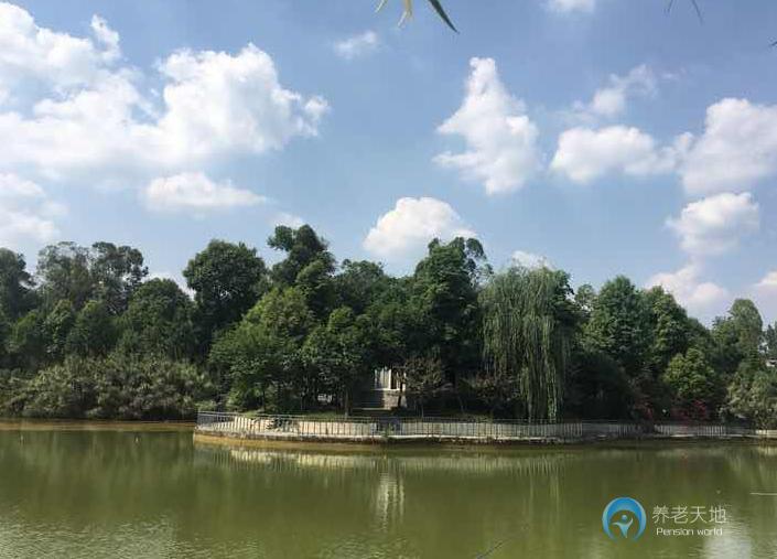 1592473410499094101.jpg 1592473410499094101.jpg